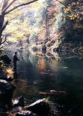 Fly Fishing North Umpqua River, Oregon