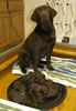 Tilda and pups, day 1, February 13, 2007.