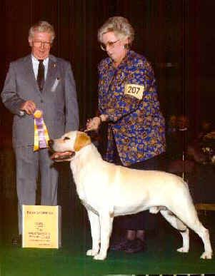 Ch. Trini T's Arnie, 1992 Best of Breed at Westminster-Sire of Merganser's Classic Matlock