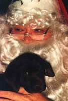 Santa Claus and Matlock December 1994 (13kb)