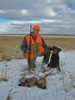 Layla, pheasant hunting with her owner, Jim Nehl, November 2007