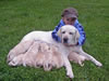 Floyd as a pup with his dam Abbigail, May 2006