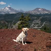 Opal hiking "The Cone," Mt Bachelor Ski Area, Bend, OR. August 18, 2014. Yes, Opal is pregnant.